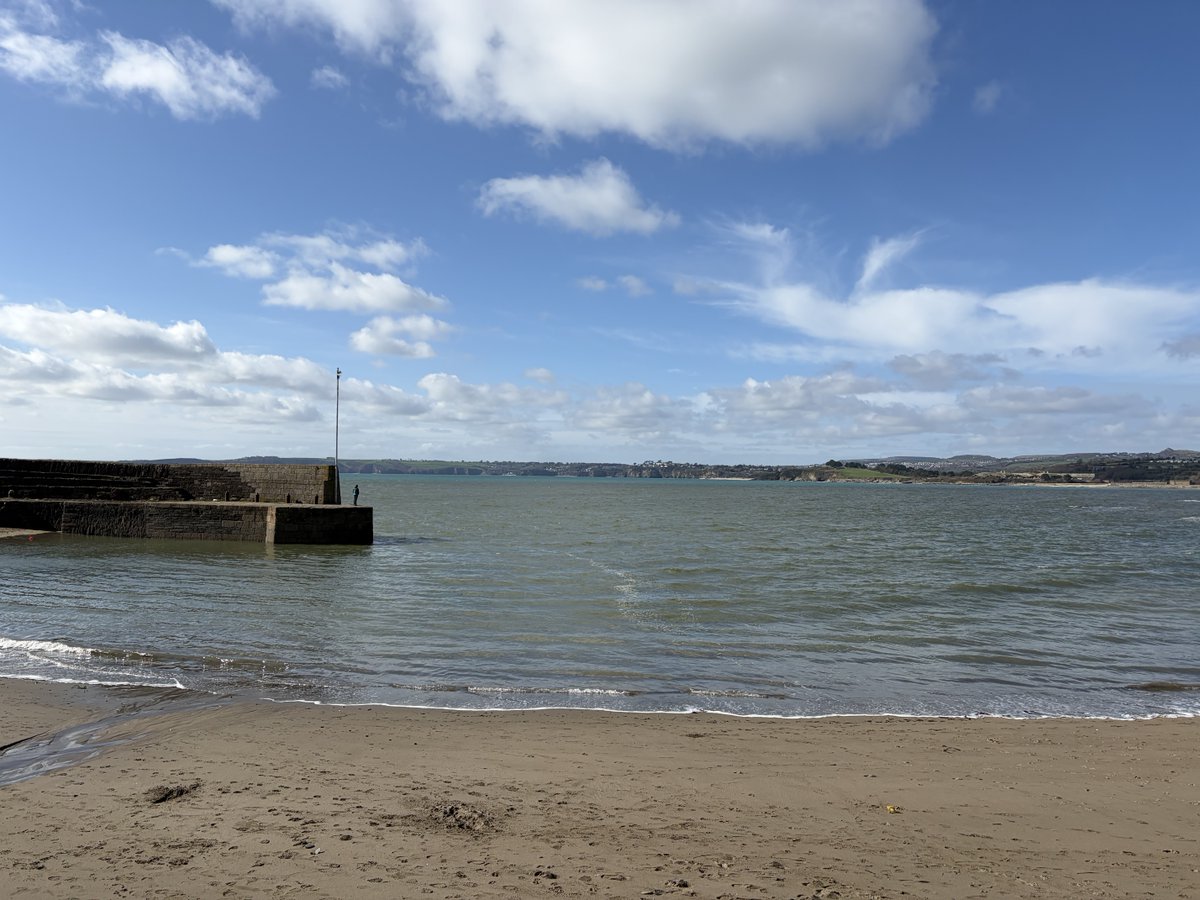 Pat 🐝 tweet media