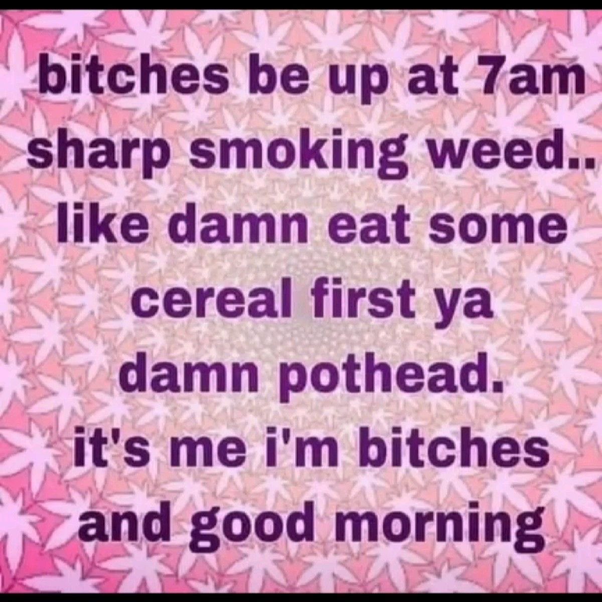 Stoner Barbie (@stonersvilla) on Twitter photo 