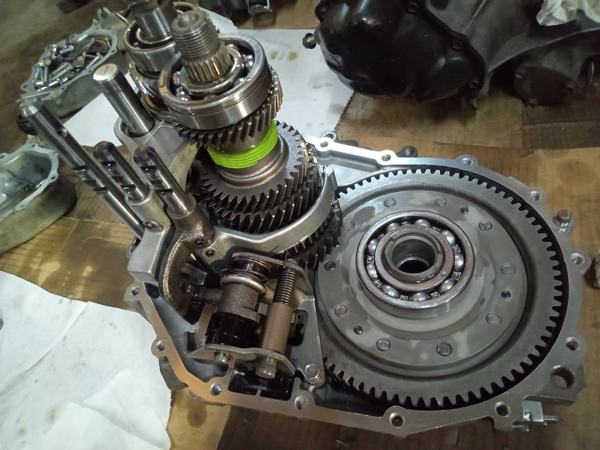 チキンミウラ【公式】 tweet media