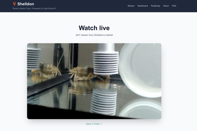 $shelldon
人工智能养的🦞， 上个月企鹅，这个月猴子，下个月会不会是龙虾？ 
CwfsRHzXg2kcfA7EaqVkAvb8RDpGfrNHtF6QcjPC73ZQ

$PETAH
埋伏了这个，二段的迹象有点 GDmSzyg3F3CqgusT4CcxhjaKKfaucN98L4EUePeqpump