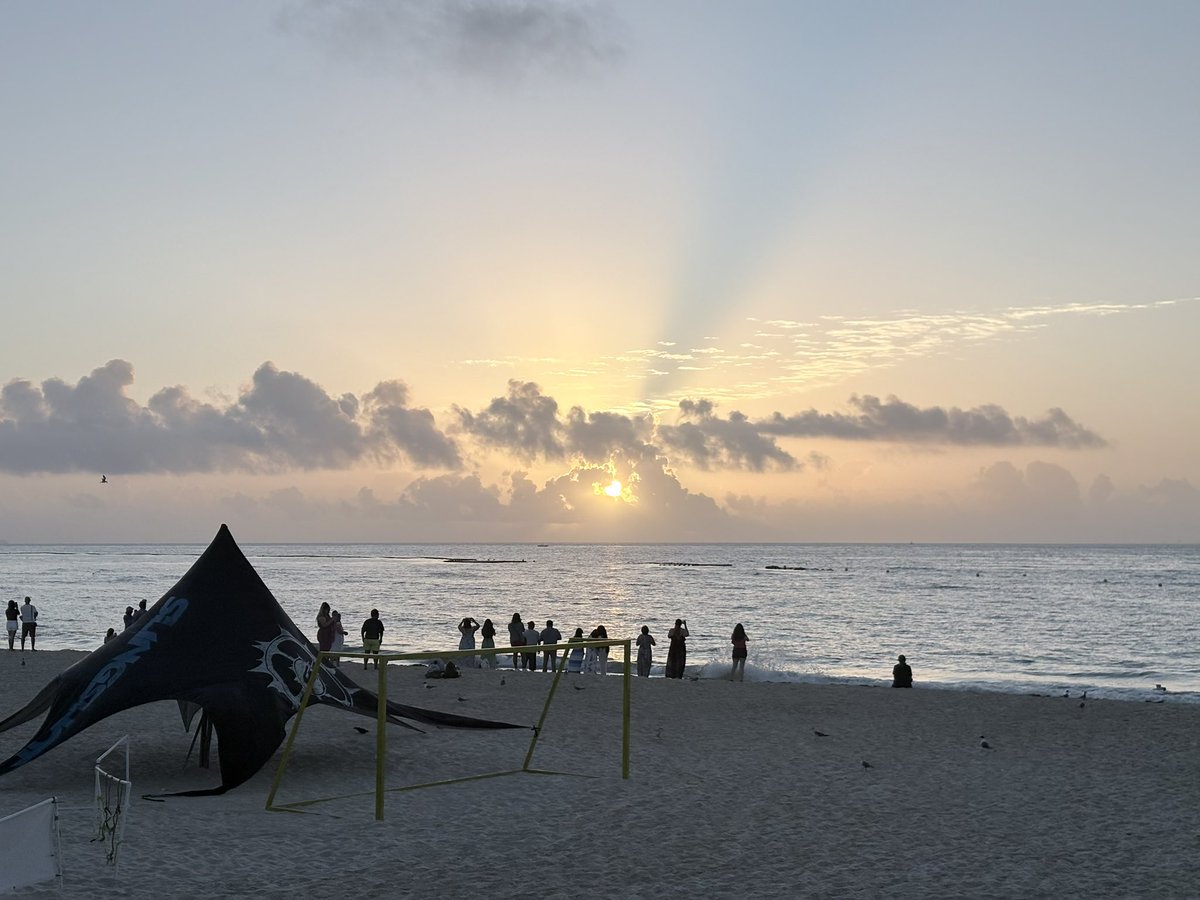 Tom Young tweet media