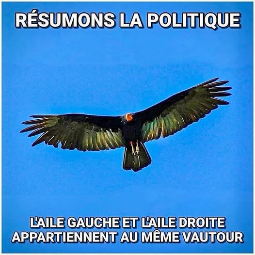 didier_Didch's tweet photo. @rtlinfo https://t.co/OqvuKfFlnZ