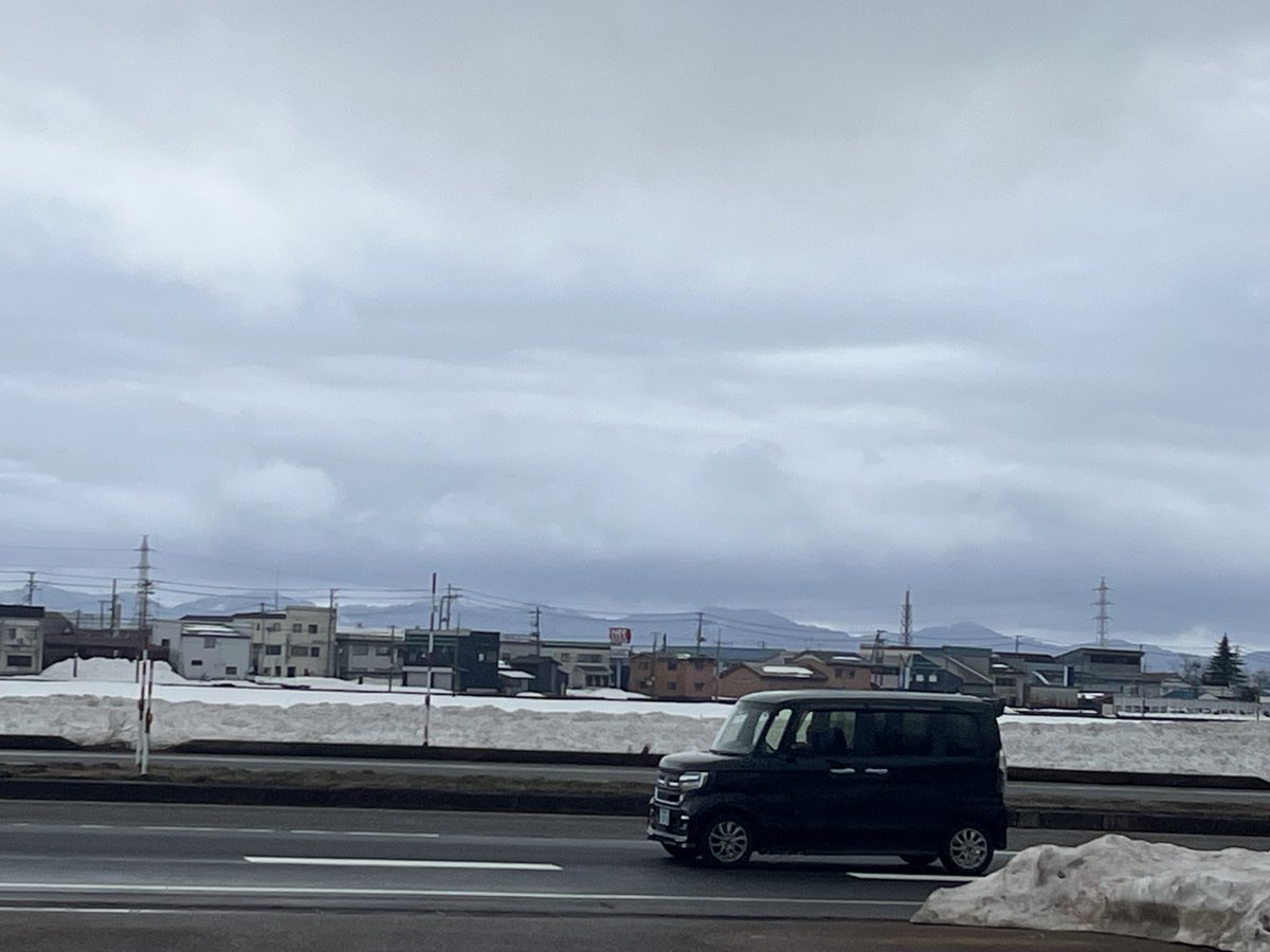 れいぼん@柴っちand… tweet media