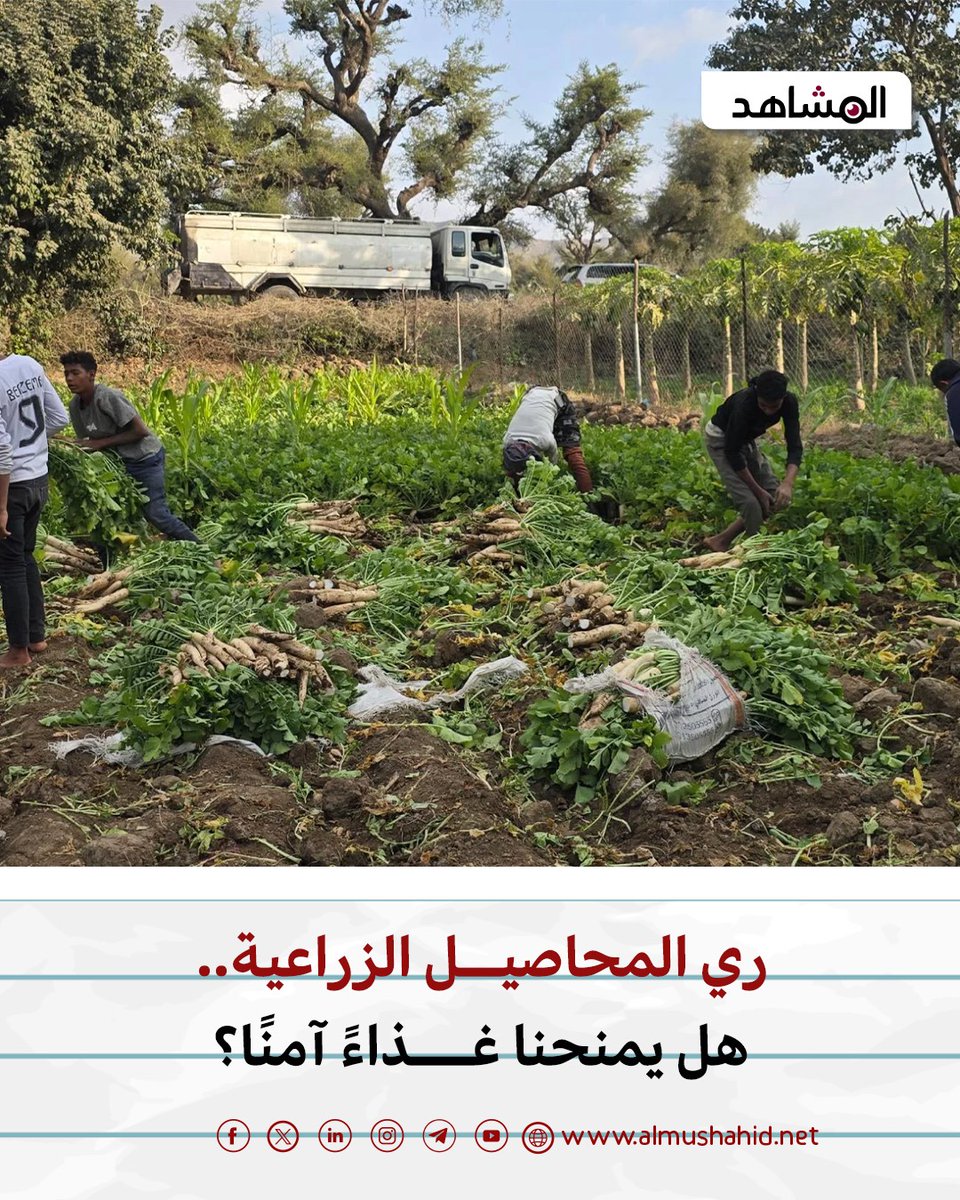 المشاهد نت tweet media