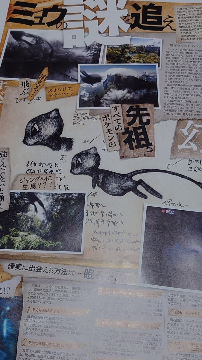 昼間貰ったポケモンの号外、思い出して見てる
見出しにうっすらミュウいたのね 