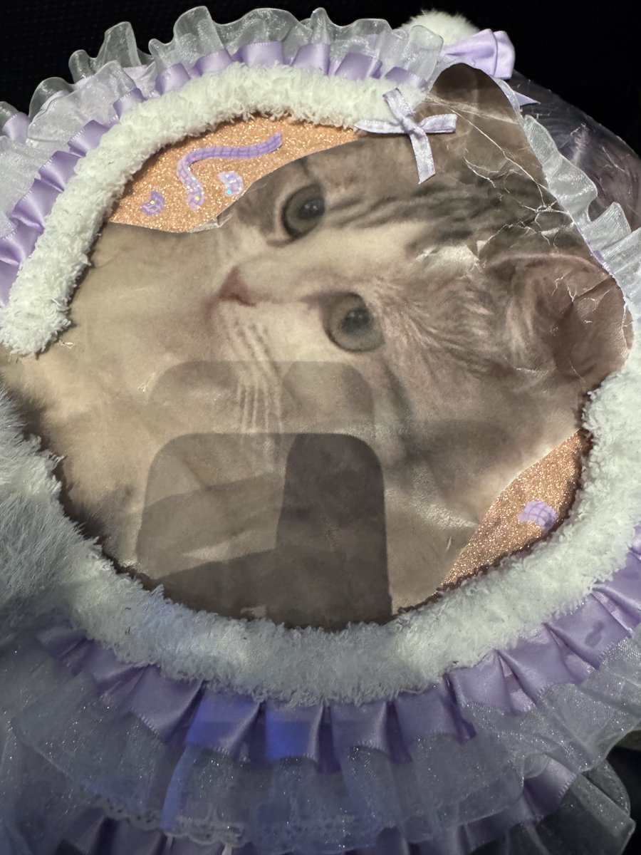 나꼬멘트 tweet media