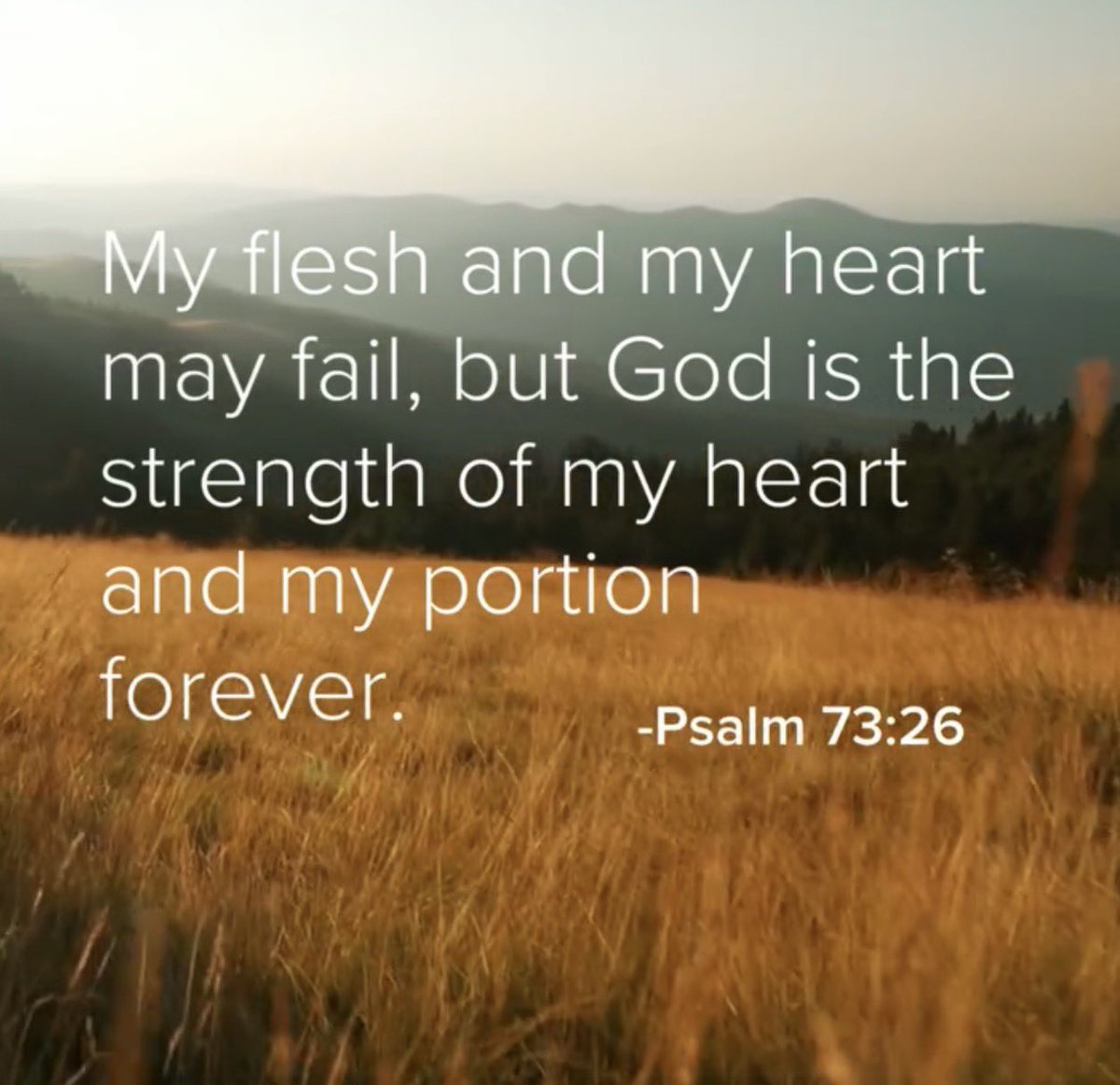 Danny Kwon tweet media