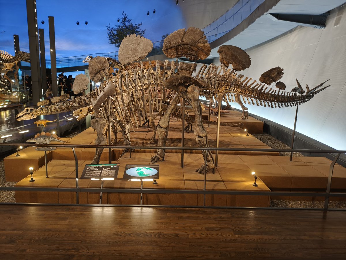 今の時代にも歩いててほしかった