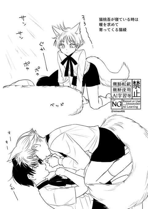 お昼寝猫桃綾 