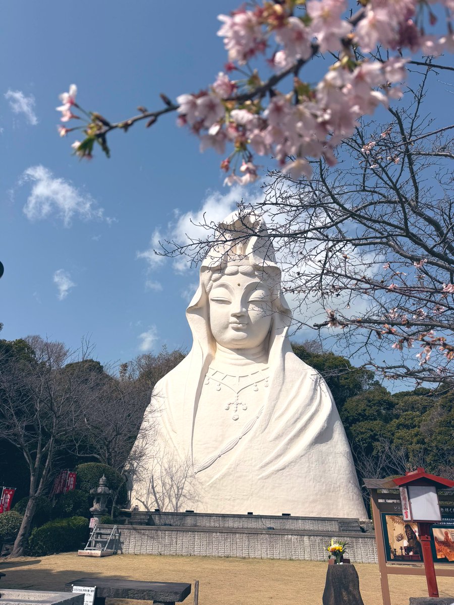 采女華/Hana Uneme (@87uneme) / Posts / X