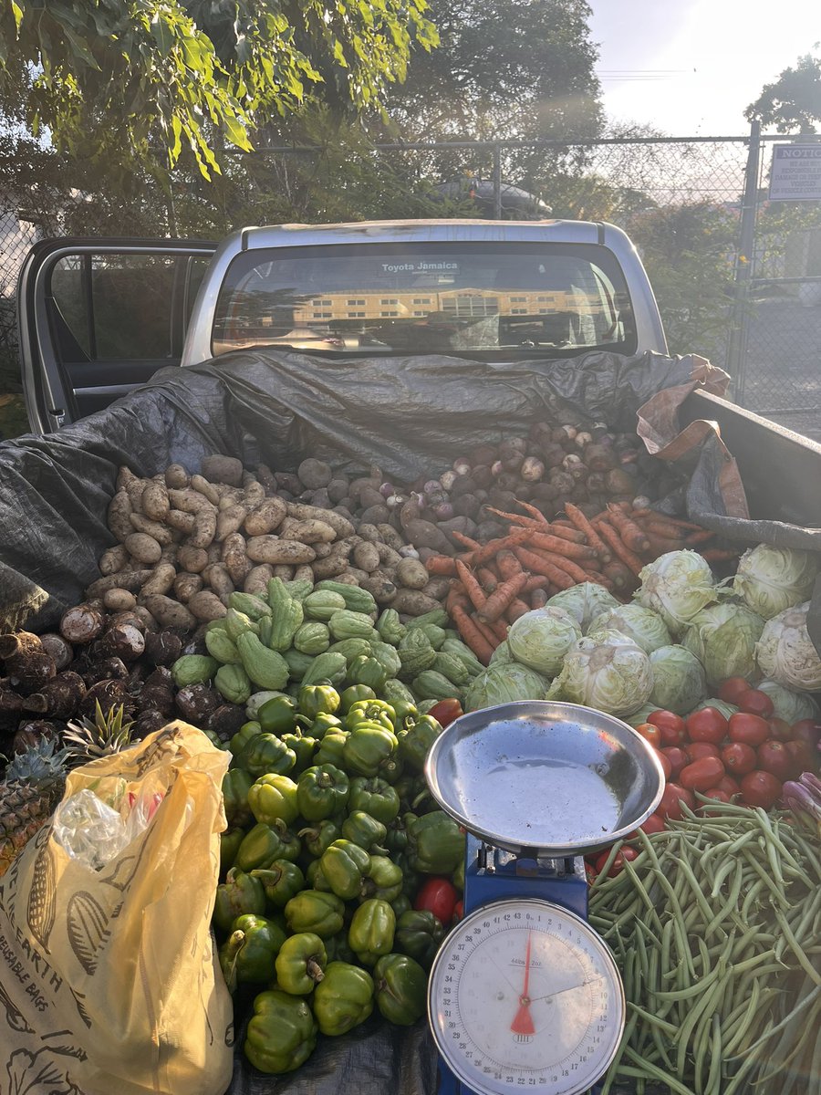 platinumasblack's tweet photo. We are at The Alchemist Pharmacy on 20 Hillcrest Ave, Kingston with the freshest from the West 🇯🇲. Don’t miss your opportunity to say yes to fresh. We’re here till 3pm 🤞🏿 https://t.co/NFJsH7JaGj