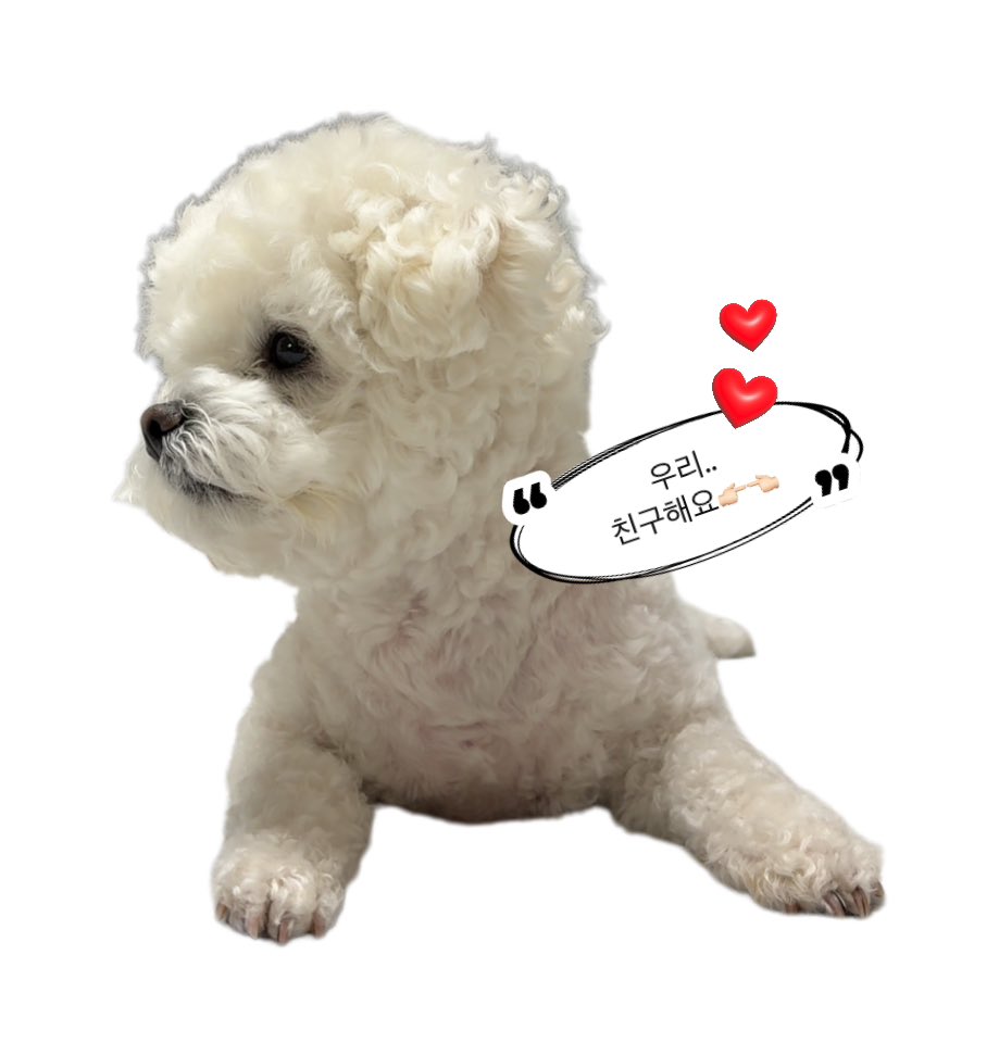 kong_430's tweet photo. 여러분!!
저..500팔 달성하고 싶어요👉🏻👈🏻
600팔 1000팔까지 열심히 소통하고 싶습니다!!

🩵일상/강아지/산책/카페/빵/여행/음악/투자/부동산/주식/뷰티 등등💙

흔적남겨주시면 곧장 달려가요🏃‍♀️
선팔해주시면 바로 맞팔할게요!!
맘찍/알티 🫶🏻
언팔 절대❌

앞으로도 잘 부탁드립니다🙇‍♀️ https://t.co/XnGXQ9lVTv