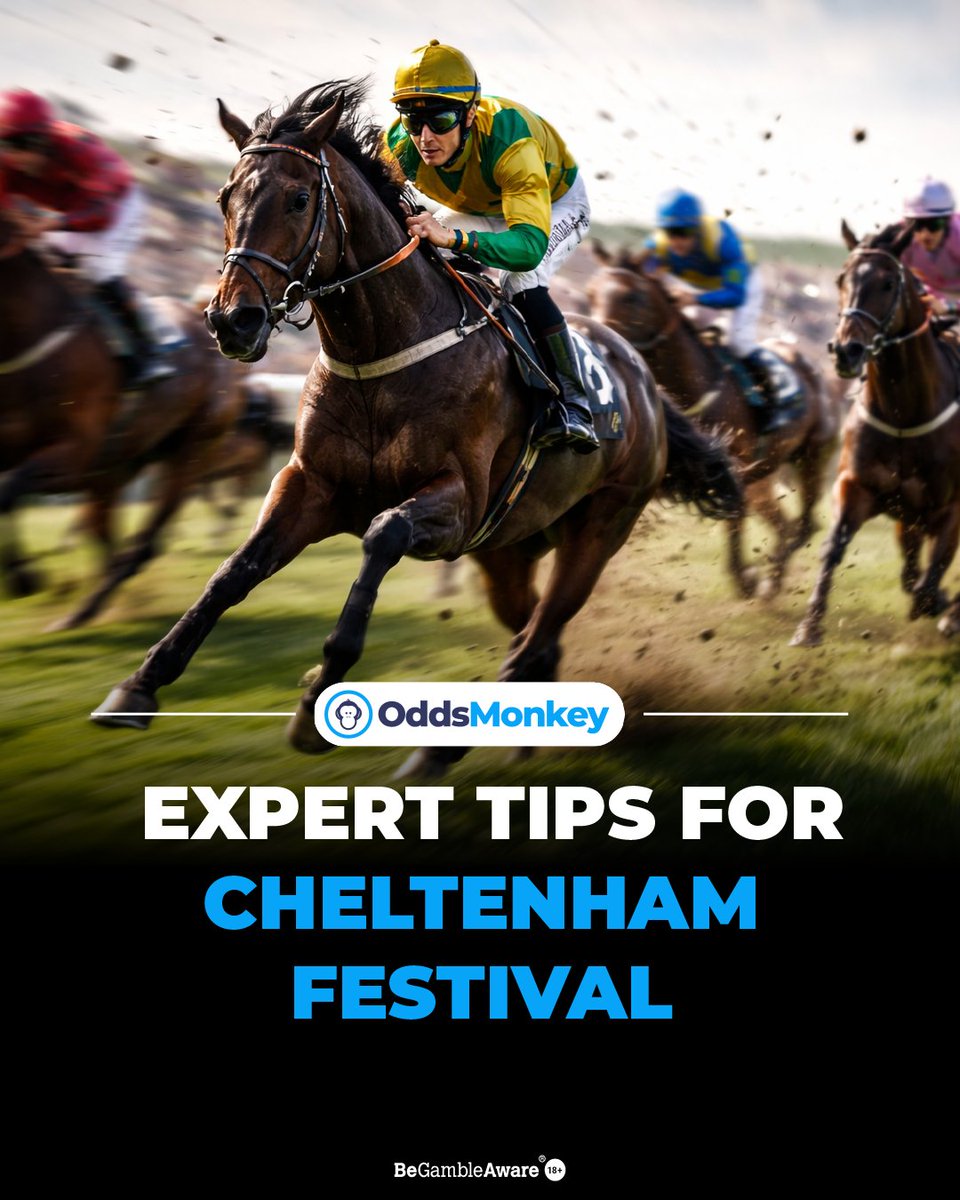 OddsMonkey tweet media