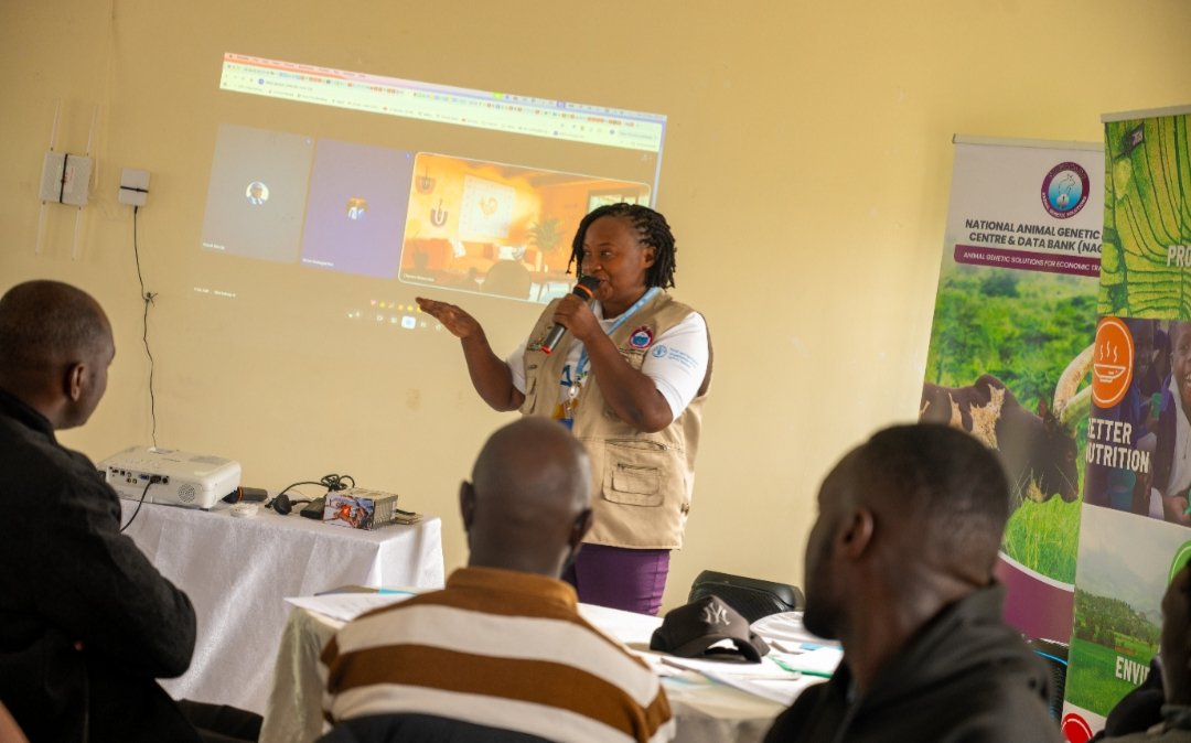 NAGRC_DB's tweet photo. Strengthening Uganda’s Livestock Frontline! 
The @NAGRC_DB, in partnership with @FAO, has this week graduated 25 Veterinary Paraprofessionals (VPPs) following an intensive 6-month Continuous Professional Development programme at Rubona Stock Farm, Bunyangabu District. 

This milestone marks a significant investment in building a skilled, business-oriented, and community-driven animal health workforce to support Uganda’s livestock sector. 

Through the training, the VPPs have been empowered to: 

• Develop and confidently pitch livestock business ideas to potential partners and financiers 

• Lead community awareness and advisory services to farmers 

• Design and execute practical marketing strategies for sustainable enterprises 

• Implement herd and flock health management plans in collaboration with farming households 

• Sustain engagement with @FAO, @NAGRC_DB, and wider stakeholders for continuous growth 

This graduation is more than a ceremony; it is a step forward in professionalising veterinary services, improving livestock productivity, and strengthening rural livelihoods across Uganda.

@FrankTumwebazek @DrRwamiramaBK @beinepeter @PS_MAAIF