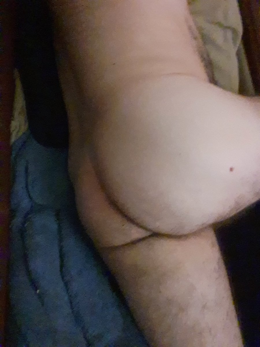 Another Sydney Bear Cub tweet media