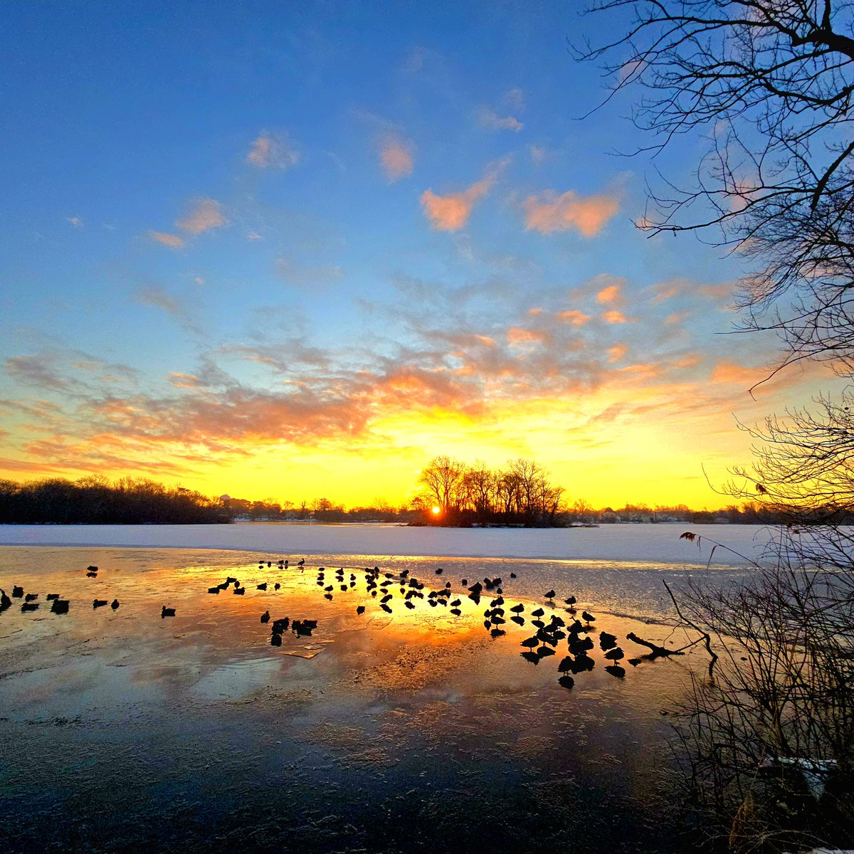 Dan Fliller tweet media