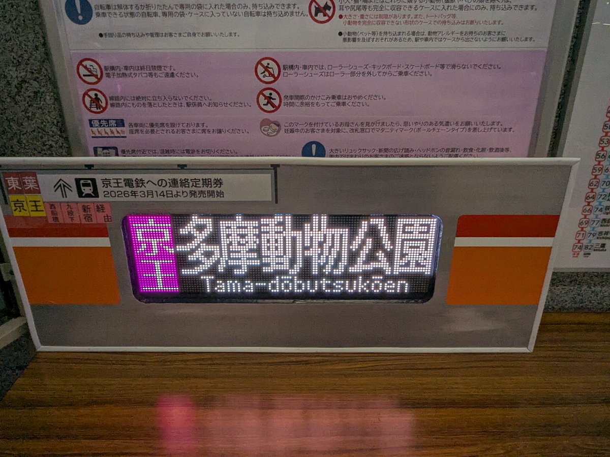 ひめか (@UmibeHimeka) / Posts / X