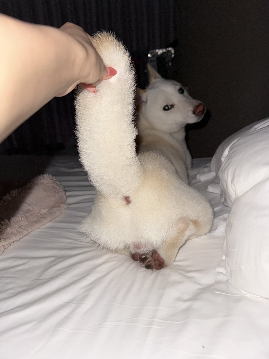 小恩酱 tweet media