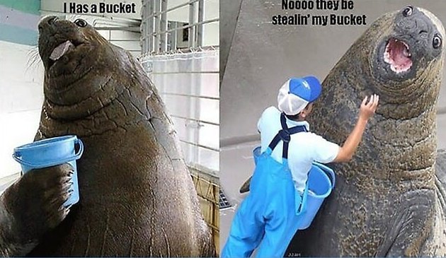 Noooo they be stealin' my Bucket