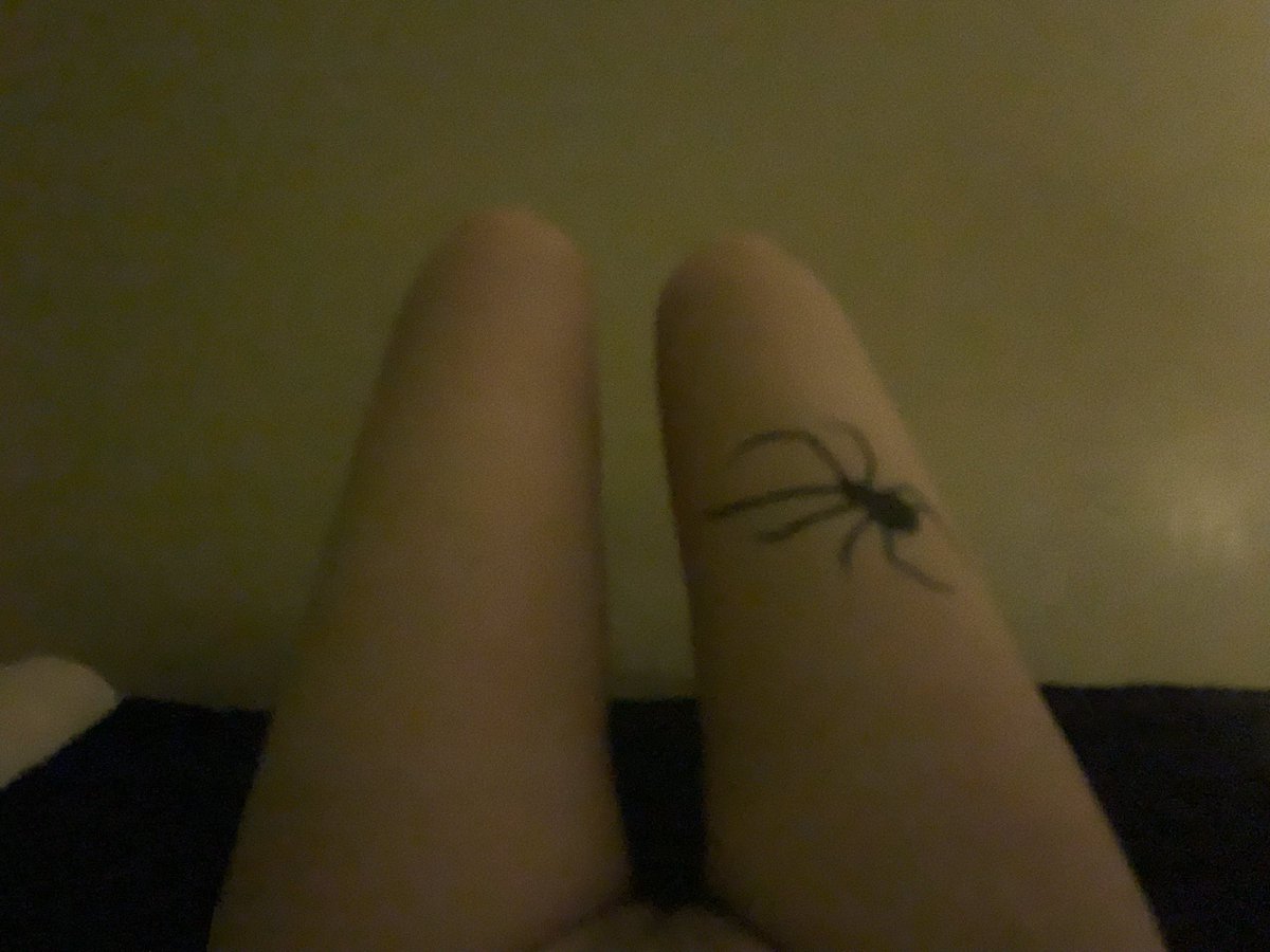 hanaruzz's tweet photo. มาดูแมงมุมห้องหนูป่าว? 🕷️ #rtxxdm #imgforลั่น https://t.co/wbhDisSoTI