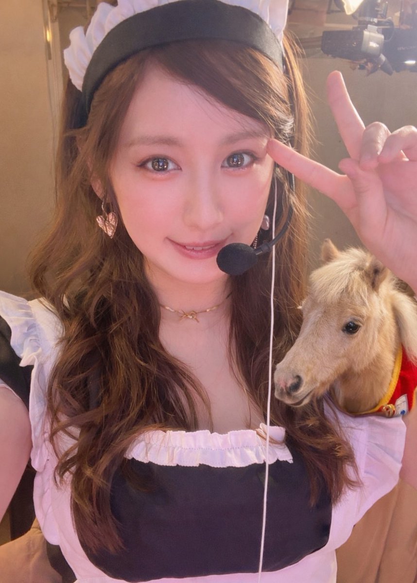 カブトムシゆかり🐜 (@KBT_Yukari) / Posts / X