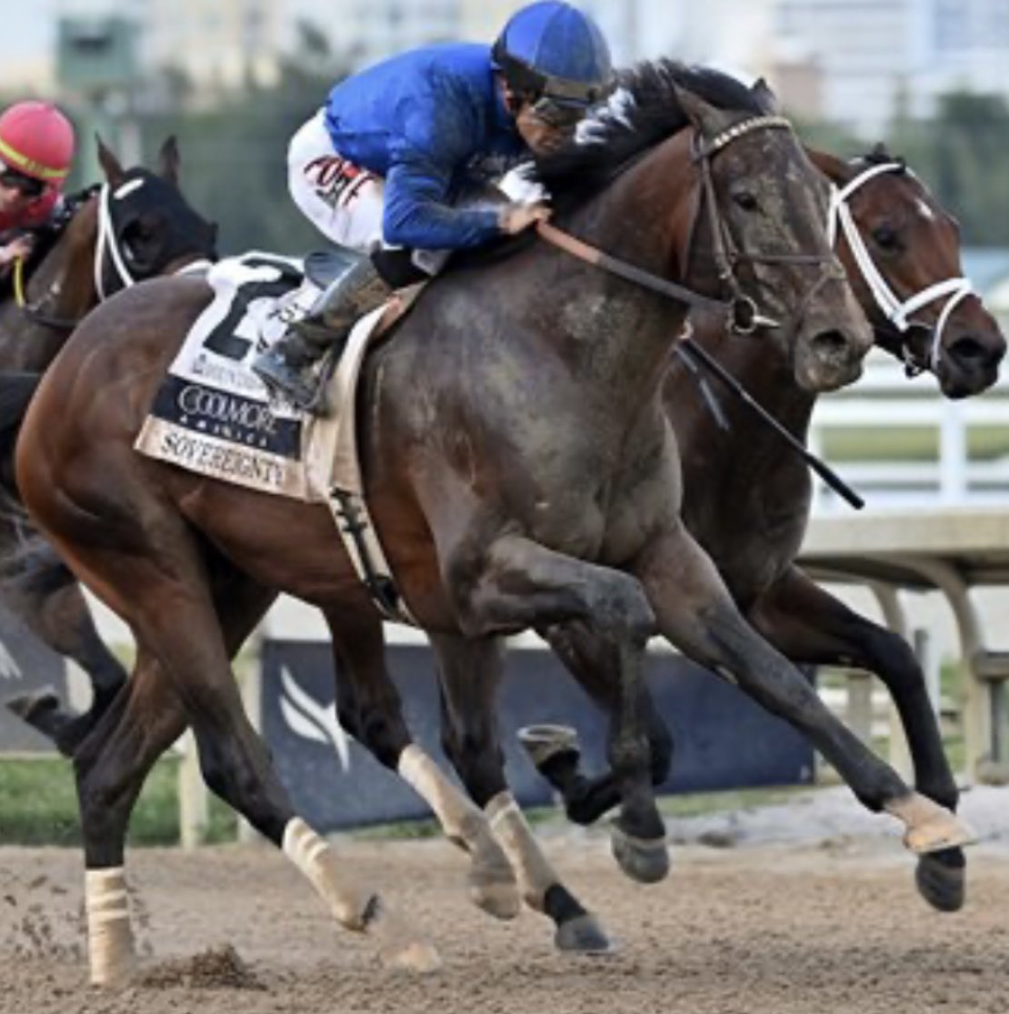 The RacingDownWind Community tweet media