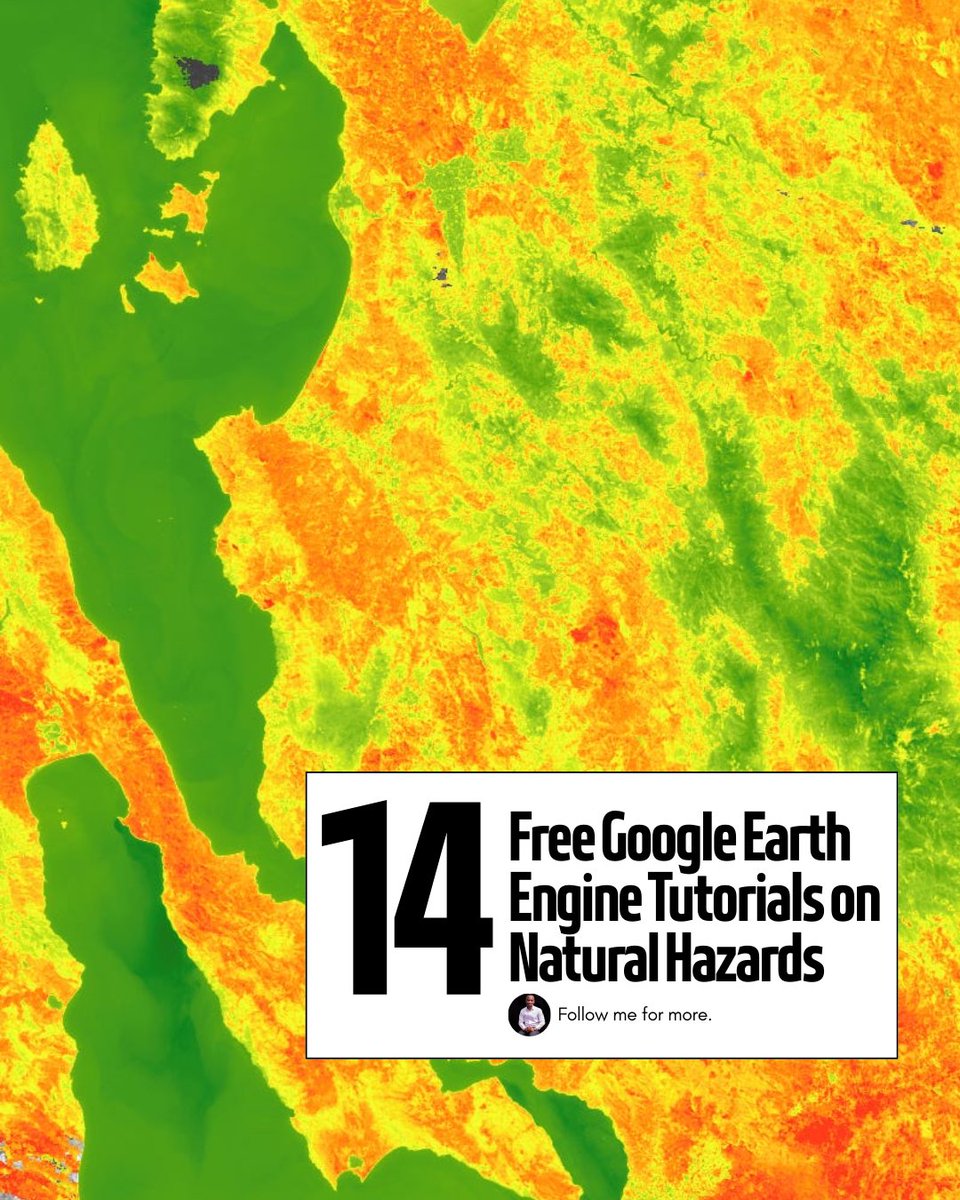 Mashford Mahute tweet media