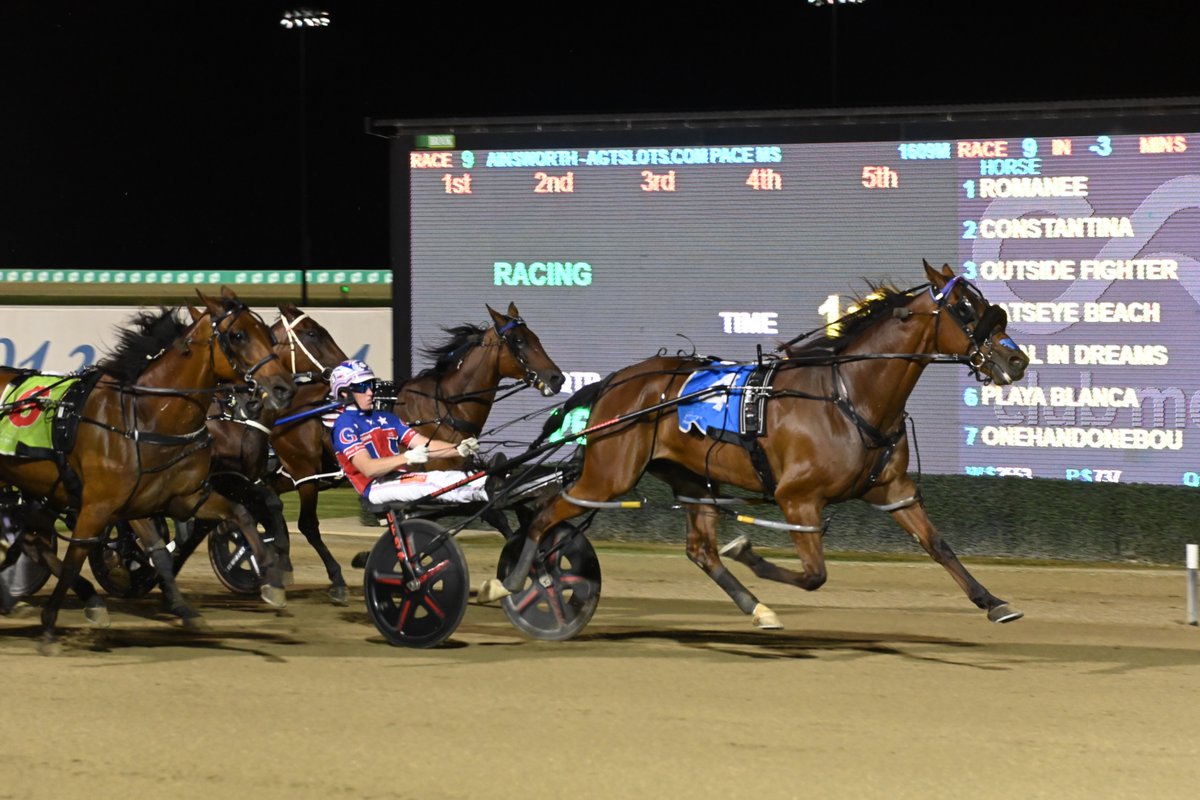 Club Menangle tweet media