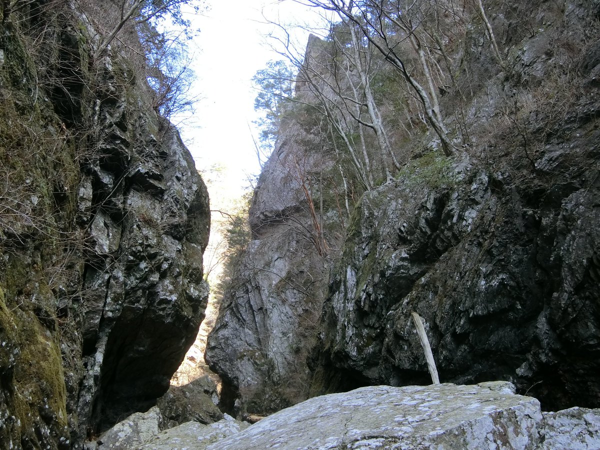 ゆたさん tweet media