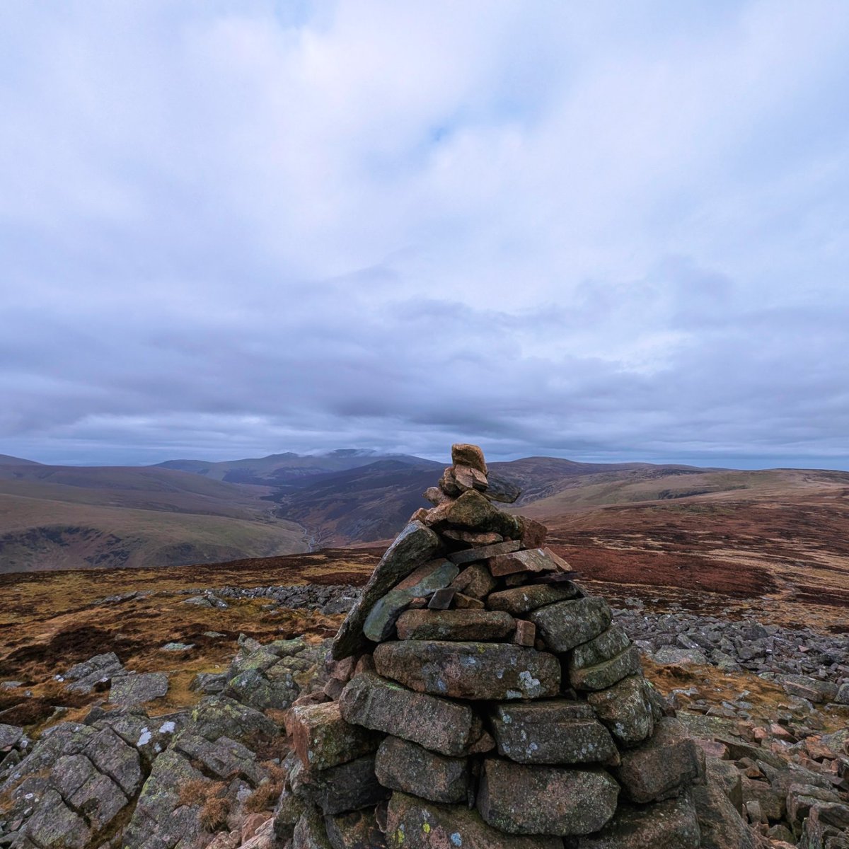 LakesPaul tweet media