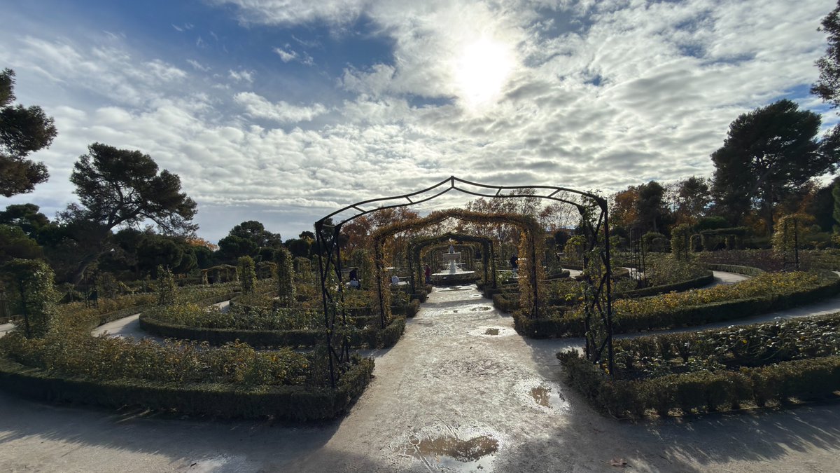 buttusmanali's tweet photo. Rose Garden (La Rosaleda - Cecilio Rodríguez), El Retiro Park (Parque de El Retiro), Madrid España.
#europe #madrid #jetsetgo360 #viral #trending #madrid🇪🇸 #madridespaña #spain📷 #viralreeĺ #virałpost #virtualtour #virtualtours #tours #tourists #touring #visiteurope #visitspain https://t.co/9VAvGfMMac