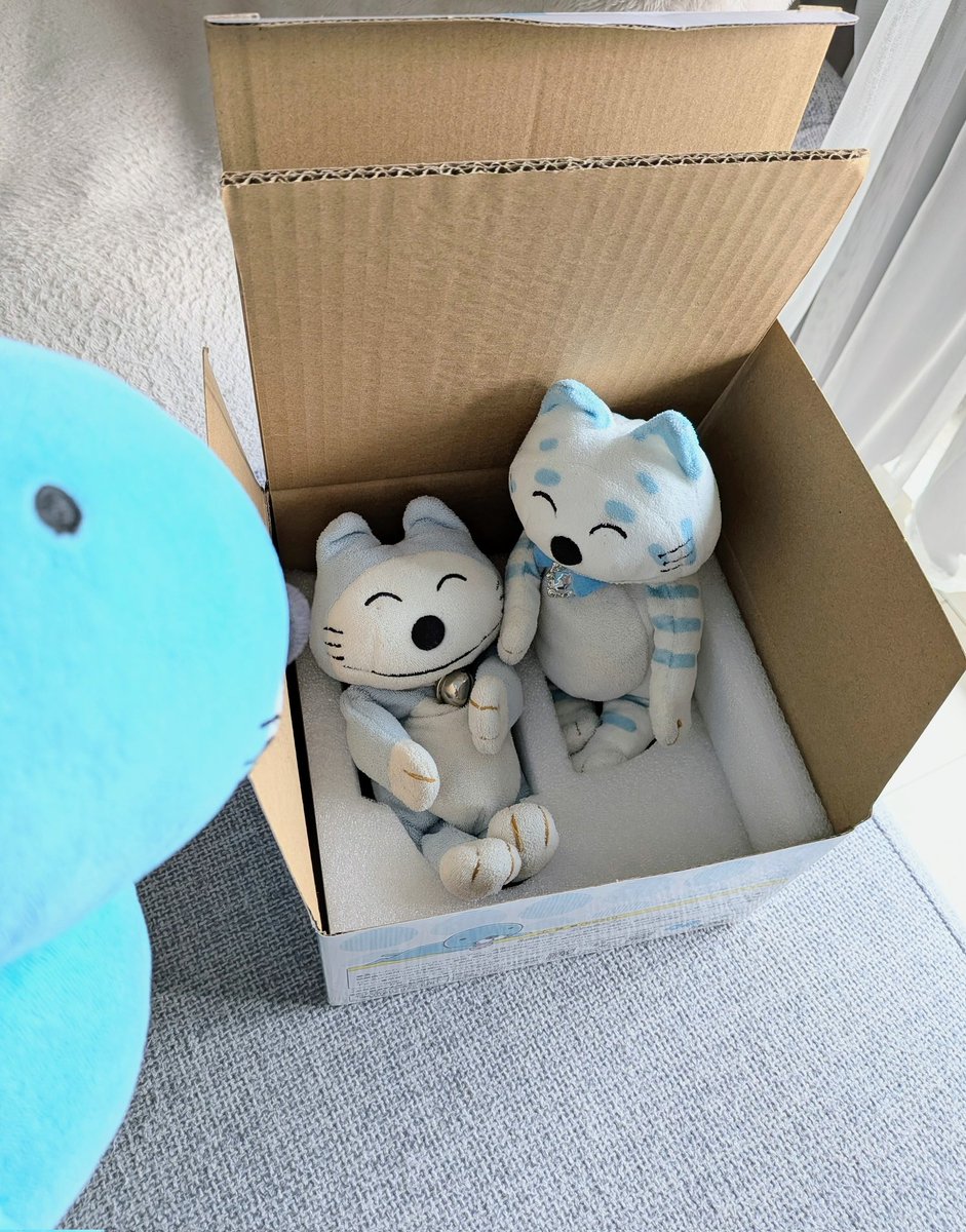 ズコ (@zucoe) / Posts / X