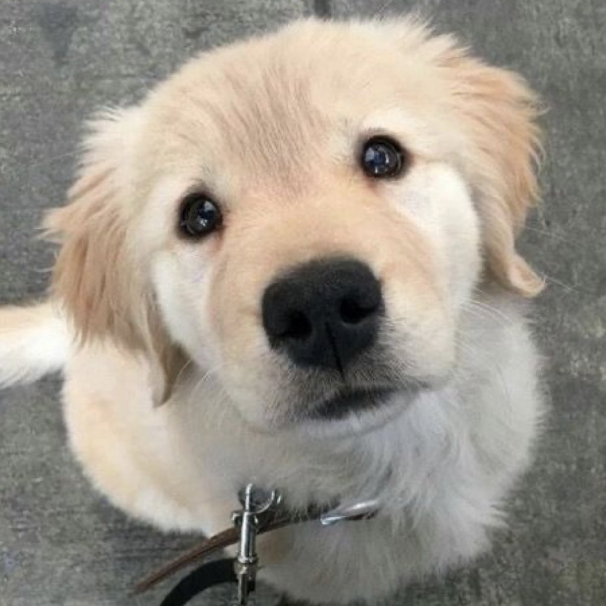 สิ่งที่ทุกคนเห็น                                  สิ่งที่ฮิราโนะซังเห็น