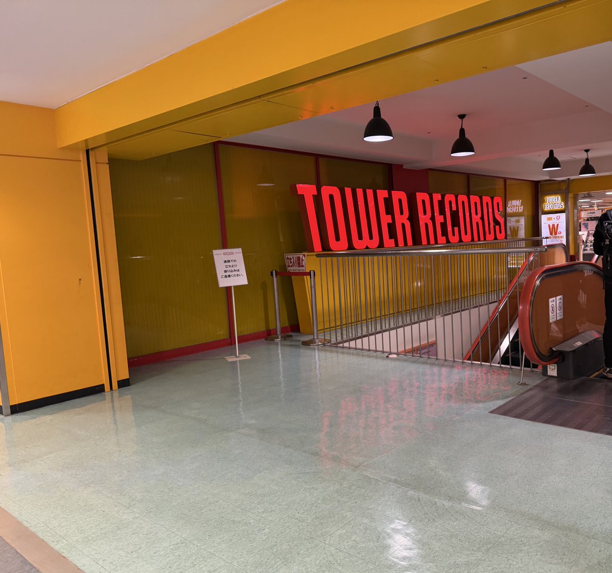 TせいなのかT tweet media