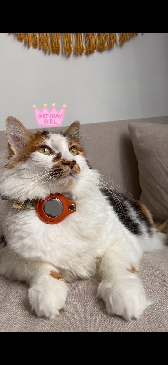 My sweet potato 5 yaşında