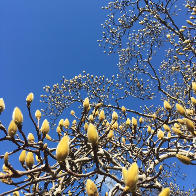 もっさん (@k_y_mossan) / Posts / X