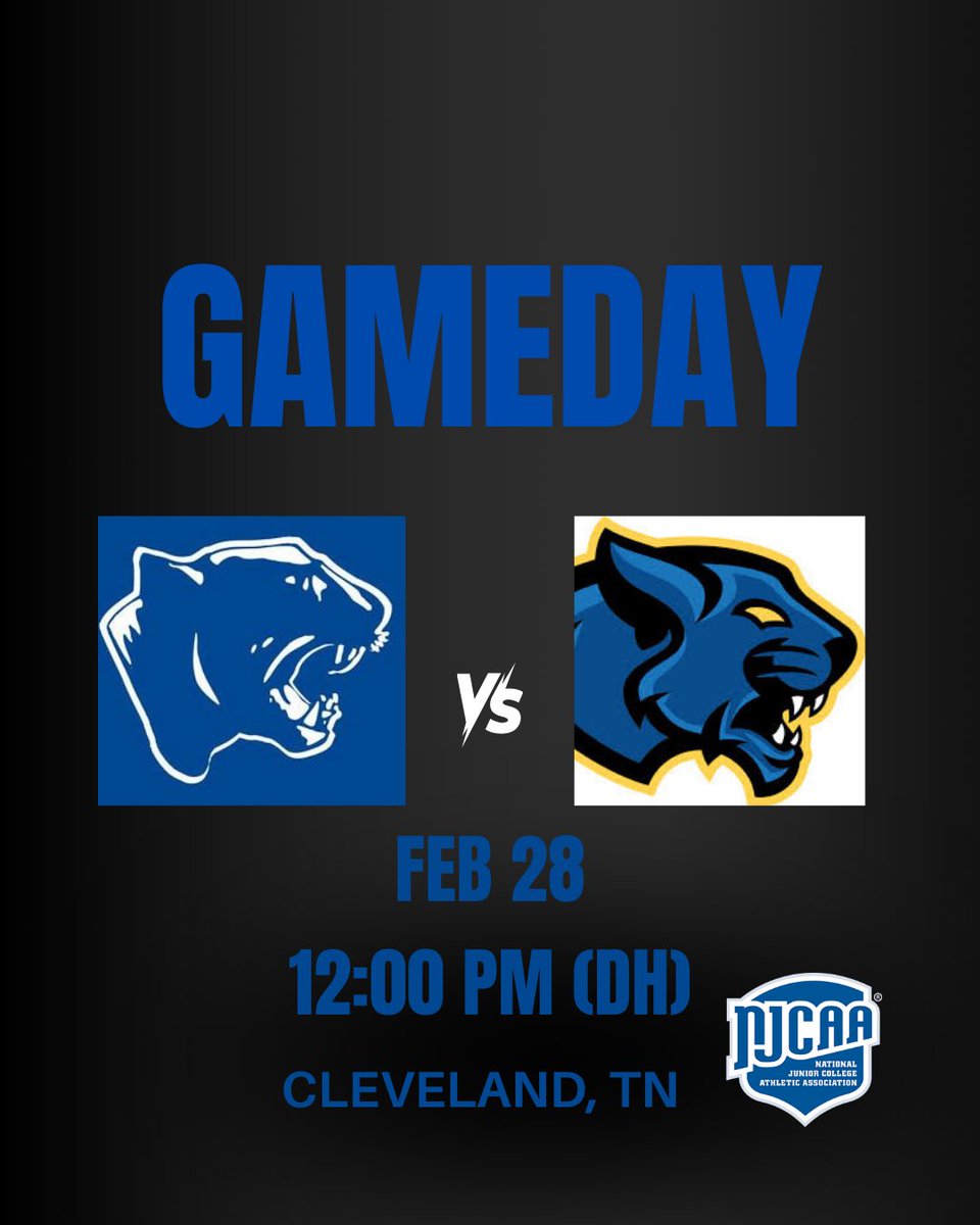 Cleveland State ⚾️ tweet media