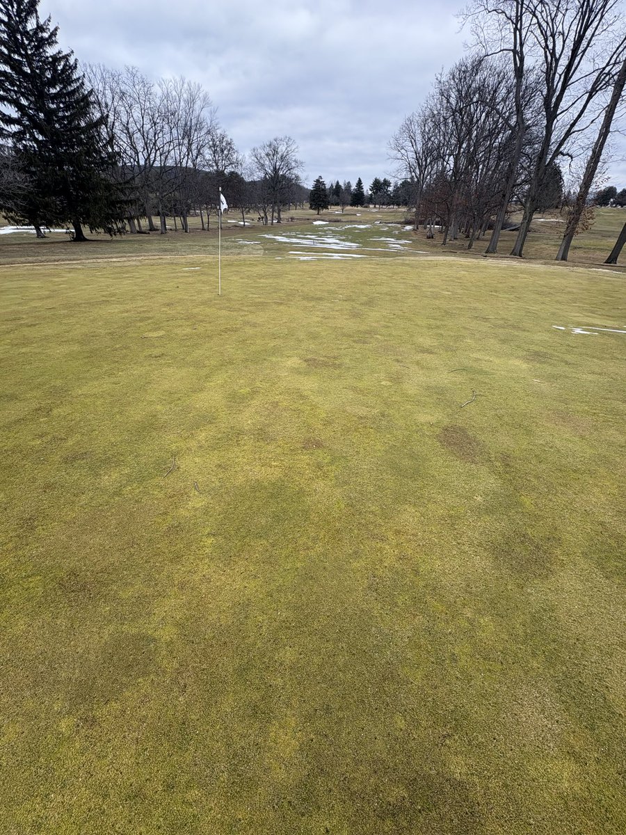 Greens and remainder of the golf course faired well despite the extreme weather this winter. A good snow blanket was crucial in protecting the course

As we open the golf course at 9am to members for walking today, please be diligent in fixing ball marks on greens ⛳️
#thinkspring