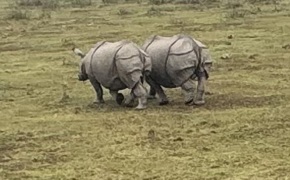 Rajesh Sawhney 🇮🇳 tweet media