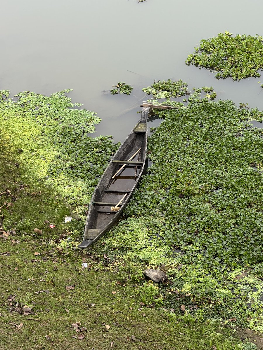 Rajesh Sawhney 🇮🇳 tweet media