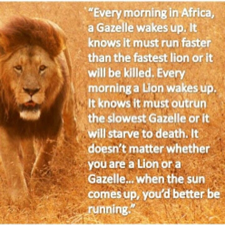 Nick Turchyn tweet media