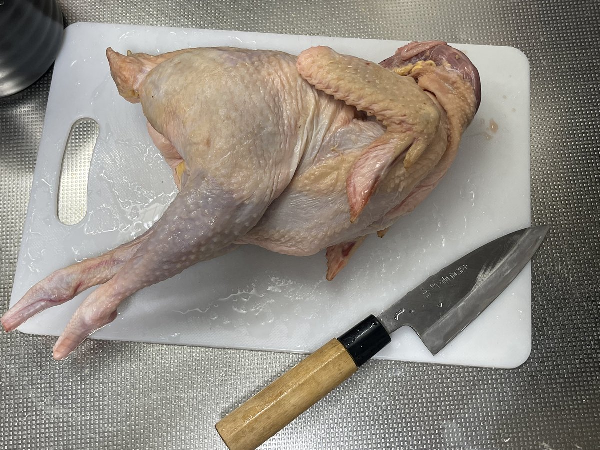 四国に行った時に親鳥食べたけど固すぎて厳しかった