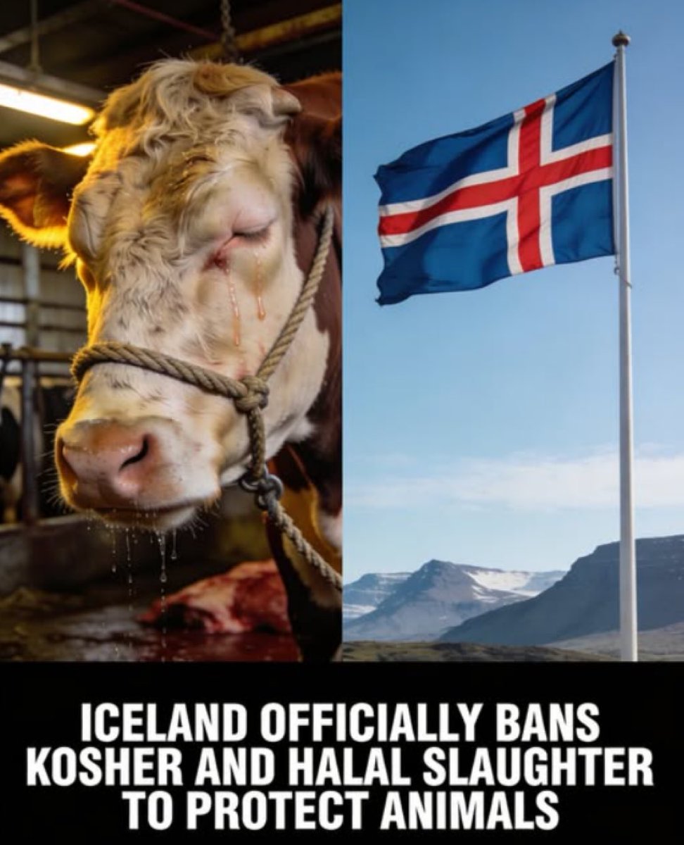 NOW BRITAIN MUST FOLLOW SUIT! 👏👍