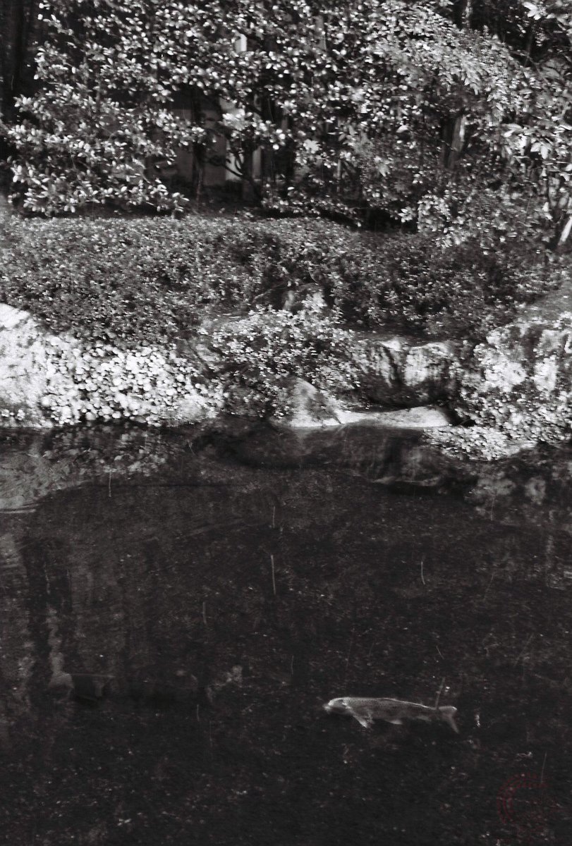 それでは皆さま、おやすみなさいませ(( _ _ ))..zzzZZ