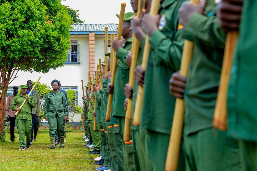 NBS Television tweet media