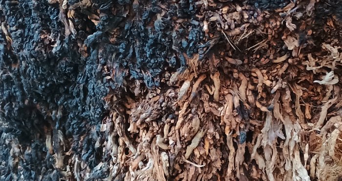 Ayoze García González ⏸ tweet media