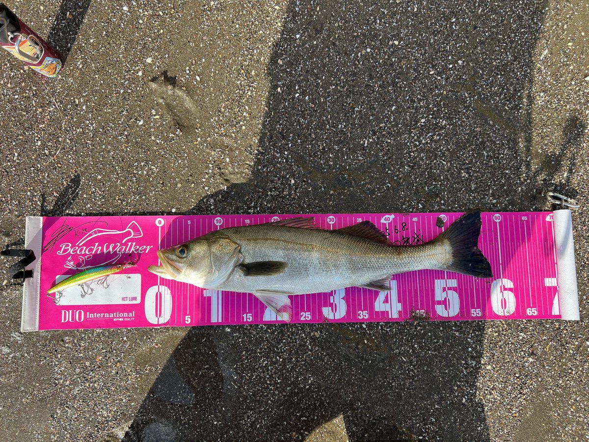 shun.mon tweet media