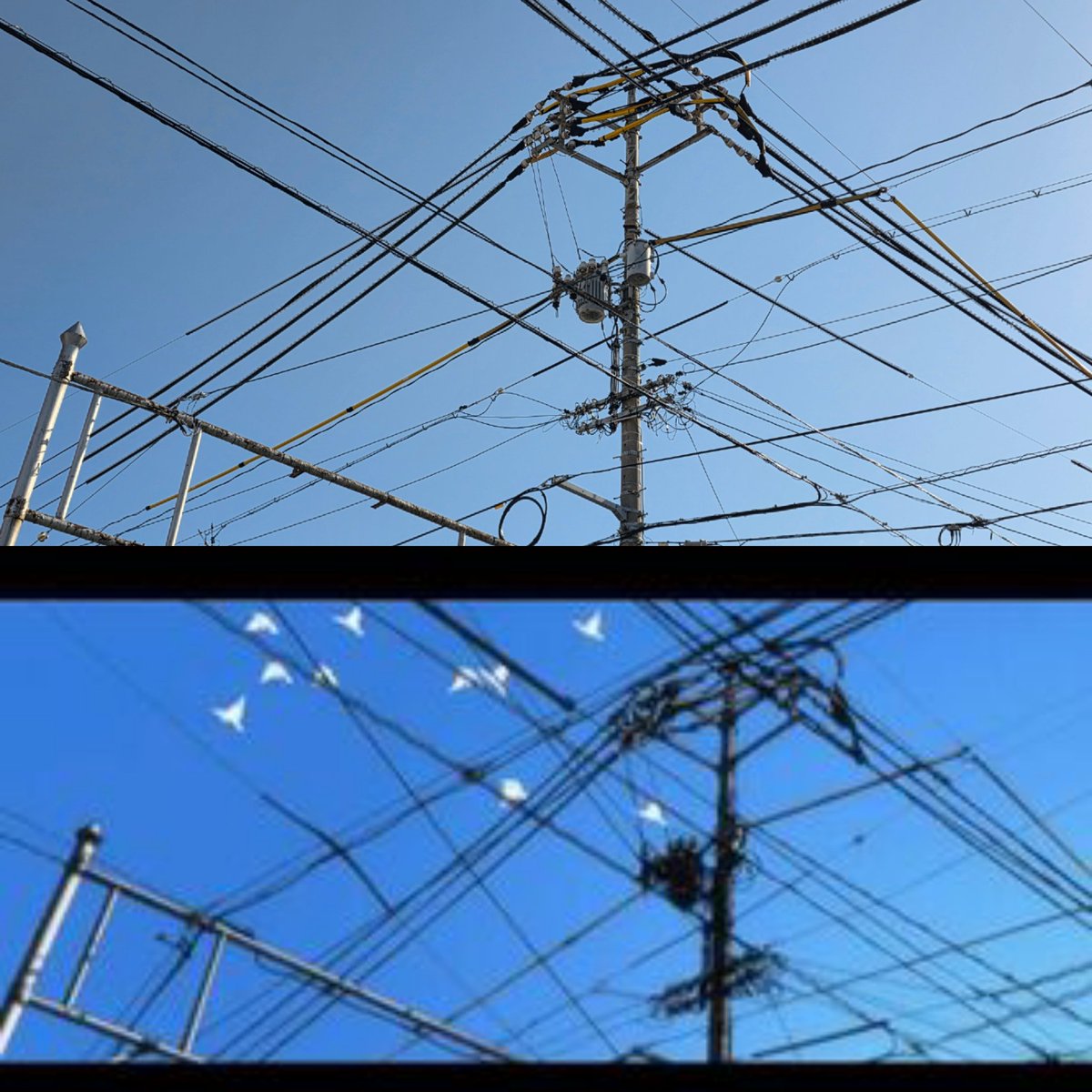 アオヤギキヒロ (@endcoder) / Posts / X