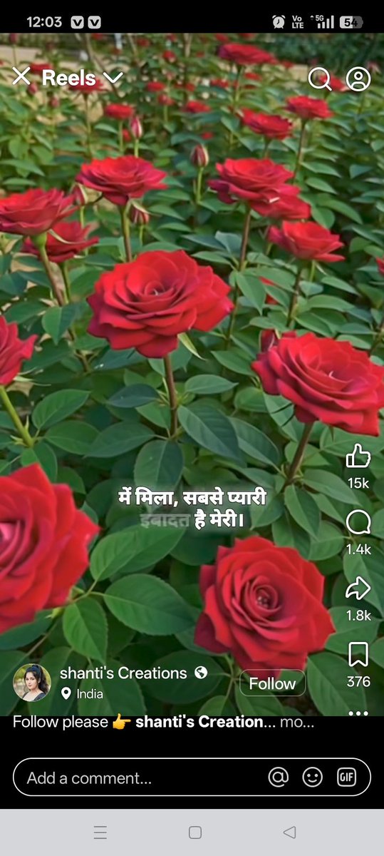 Aslam Khan tweet media