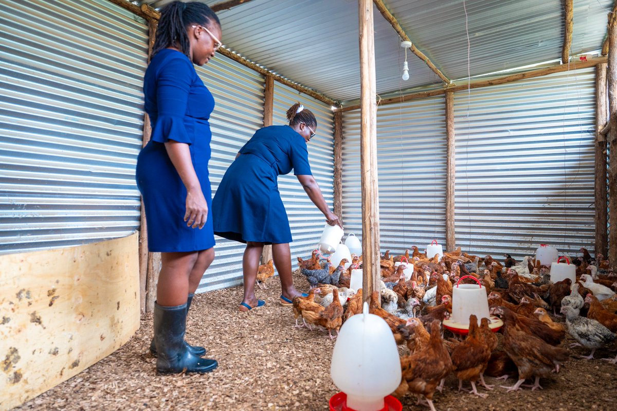 INUKA Community Developers Network tweet media